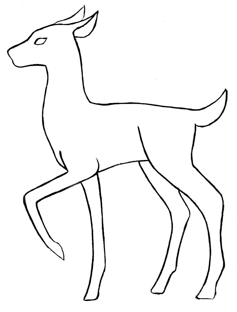 774x1020 Deer Drawings