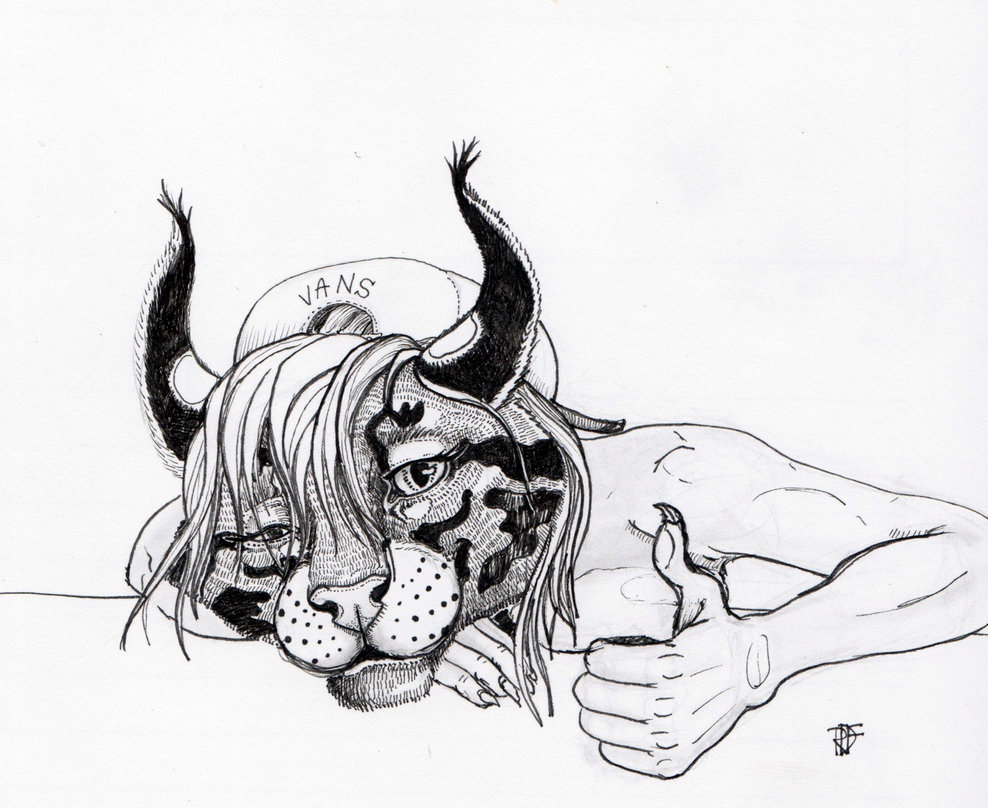 988x808 Sunshine Roona By Red Devil Fox