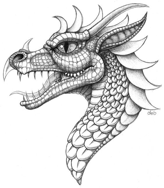 564x648 21 Best Cool Dragon Tattoo Drawings Images On Dragon