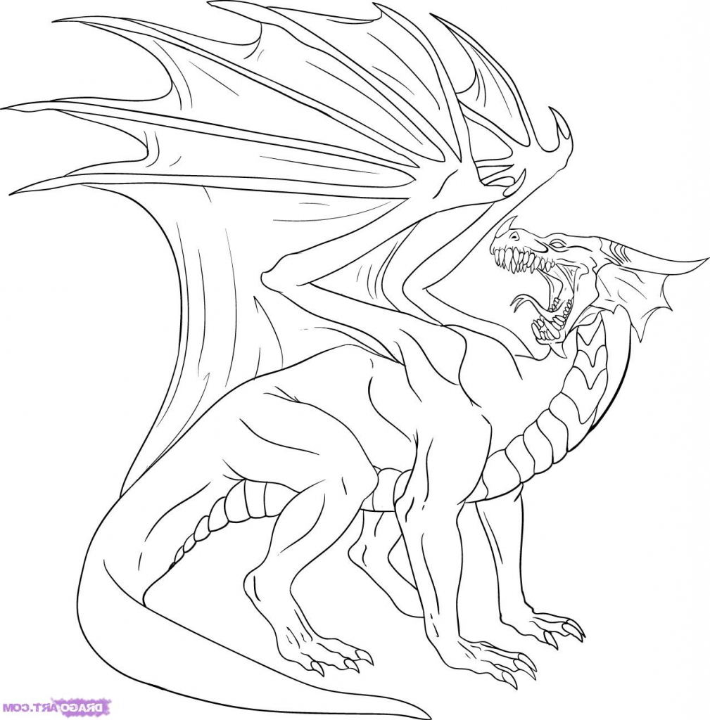 1009x1024 A Drawing Of A Dragon A Drawing Of A Dragon How To Draw A Red