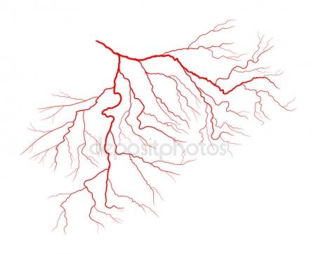 450x362 Red Veins, Blood Vessels And Arteries. Vector Illustration Stock