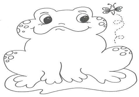 476x333 Coloring Pages Of Frogs Awesome Coloring Pages Frog Sheet Free
