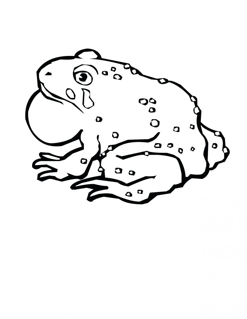 863x1117 Download File Free Printable Tree Frog Coloring Pages Red Eyed