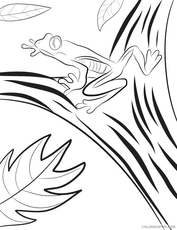 612x792 Rain Forest Coloring Pages Amazon Coloring Pages Red Eyed Tree