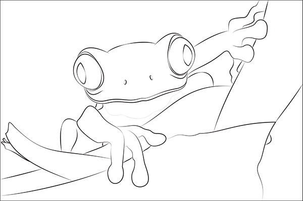 600x399 Red Eyed Tree Frog . On Behance