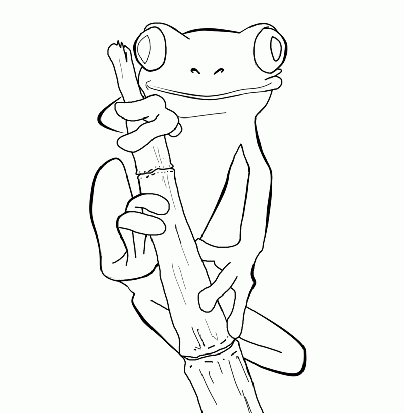 800x819 Tree Frog Coloring Page