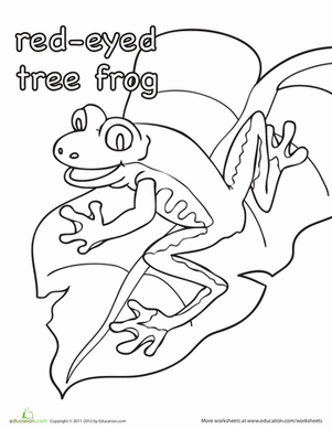 301x389 Color The Red Eyed Tree Frog Worksheet