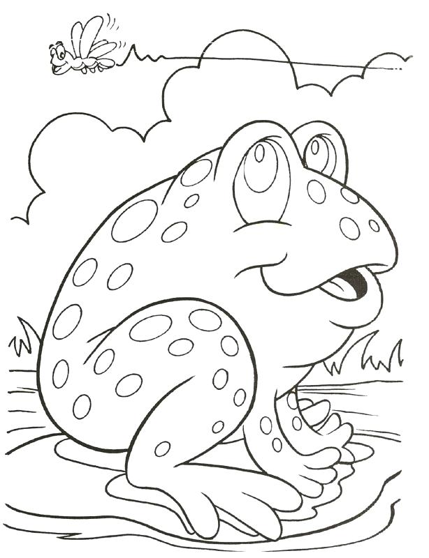 614x800 Coloring Pages Frogs Delightful Frog Coloring Pages For Your
