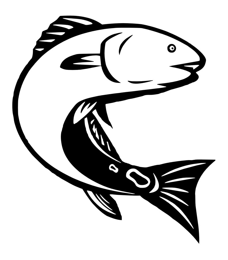 791x900 Hunting Fishing Decals Ray's Vinyls