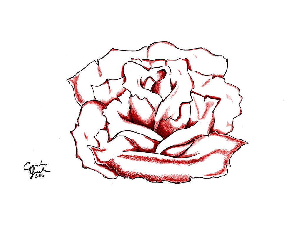 999x799 My Sister's Flower Drawing By Nauno The Werewolf