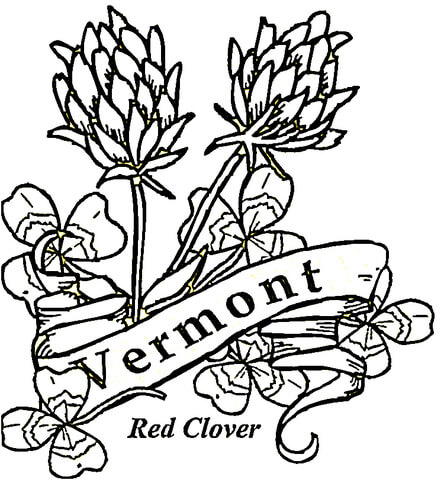 444x480 Vermont Flowers Coloring Page Free Printable Coloring Pages