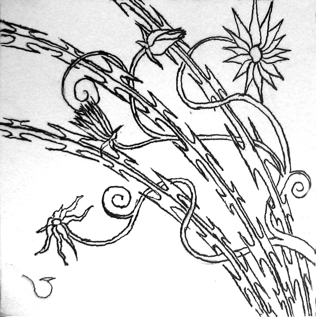 1047x1050 Flowers The Razor Wire By Wrappedinredvelvet