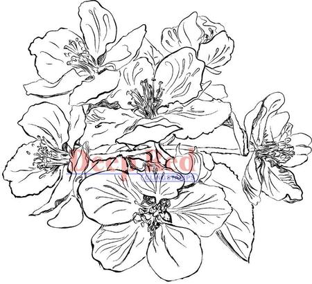 450x410 Deep Red Stamps Apple Blossom Flowers