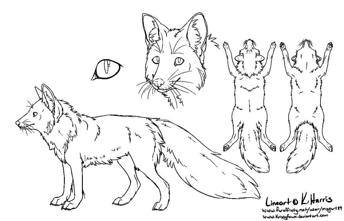 1113x717 Red Fox Ref Sheet