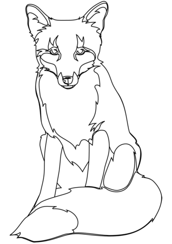 339x480 Red Fox Coloring Page Free Printable Coloring Pages