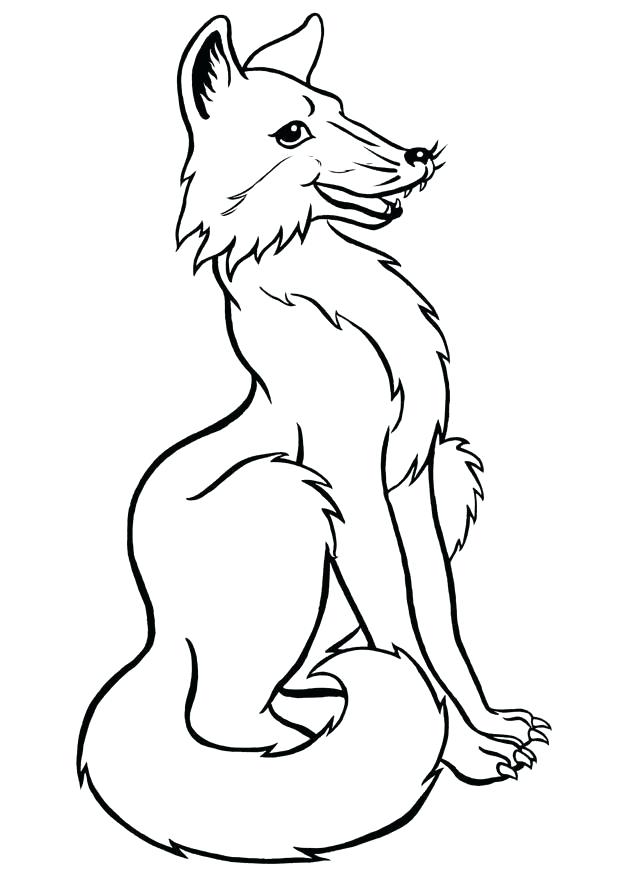 620x875 Trend Red Fox Coloring Page New Pages Free Printable