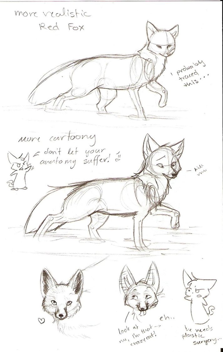 712x1123 Tutorial Sketch Fox 2 By Joava