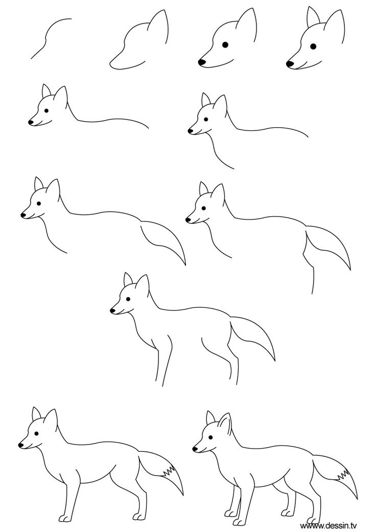 736x1040 Kids Learn How To Draw A Fox Crafts Amp Creativity. Basteln