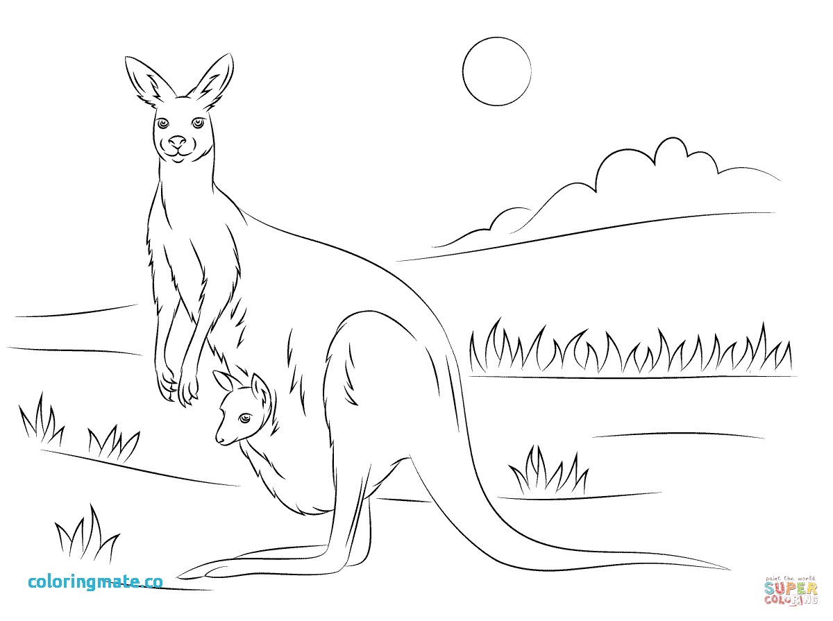 1200x895 31 Kangaroo Coloring Page