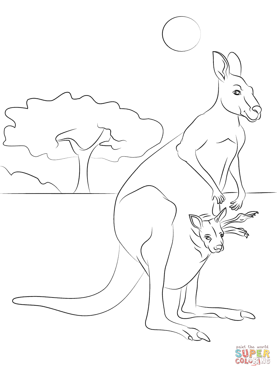 916x1228 Red Kangaroo With Baby Coloring Page Free Printable Coloring Pages