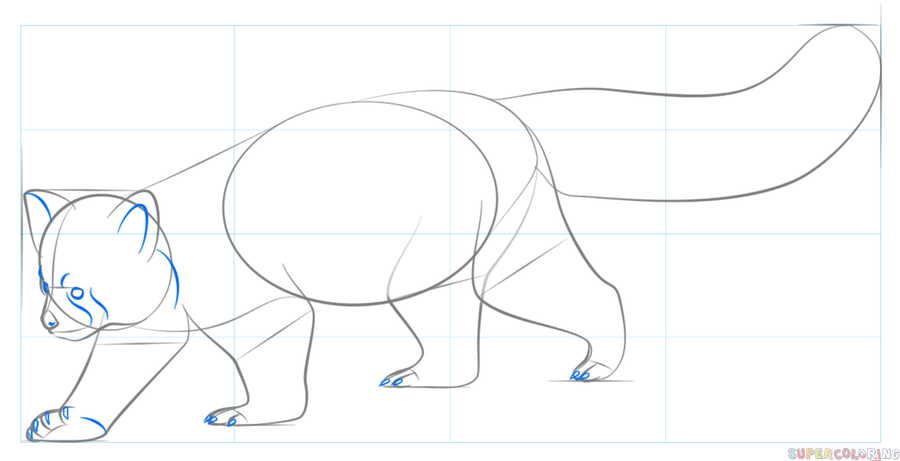 900x461 How To Draw A Red Panda Step By Step Drawing Tutorials