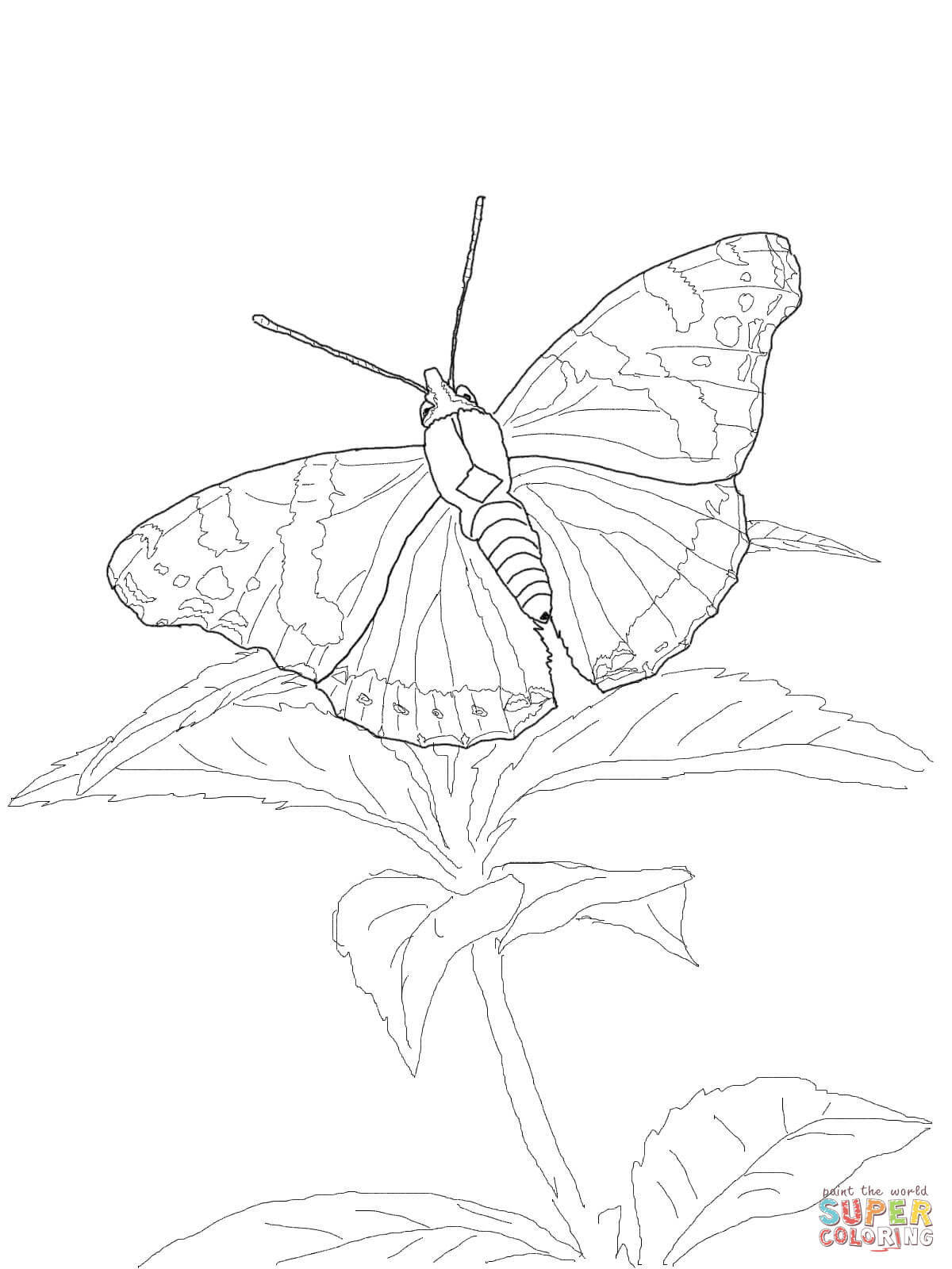 1200x1600 Red Admiral Butterfly Coloring Page Free Printable Coloring Pages