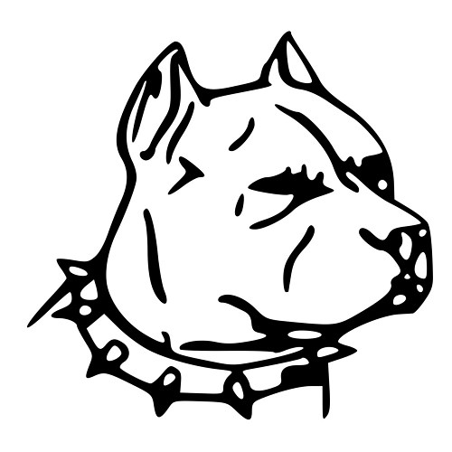 Red Nose Pitbull Drawing at GetDrawings | Free download