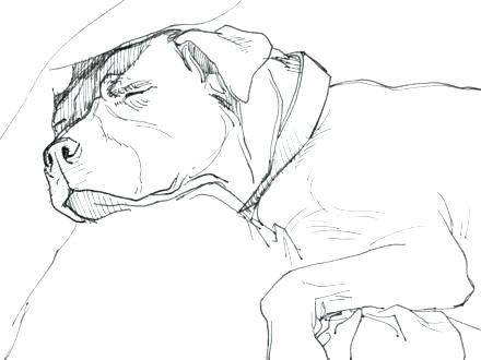 440x330 January 2018 Muyatips.us