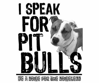 350x292 108 Best Apbt Images On Doggies, Pit Bull And Pets