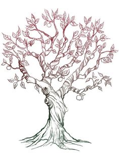 236x314 Hand Drawn Tree Symbol