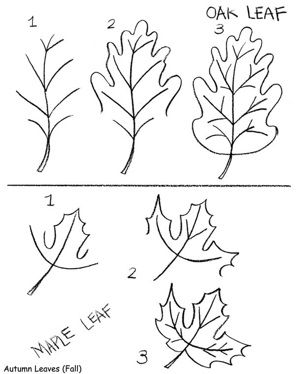 605x760 178 Best Watercolor Oak Trees Images On Water Colors