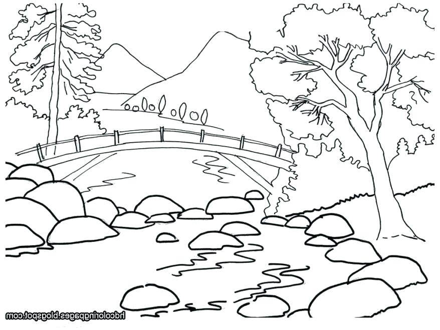 878x659 Oak Tree Coloring Page Tree Coloring Pages Together With Tree