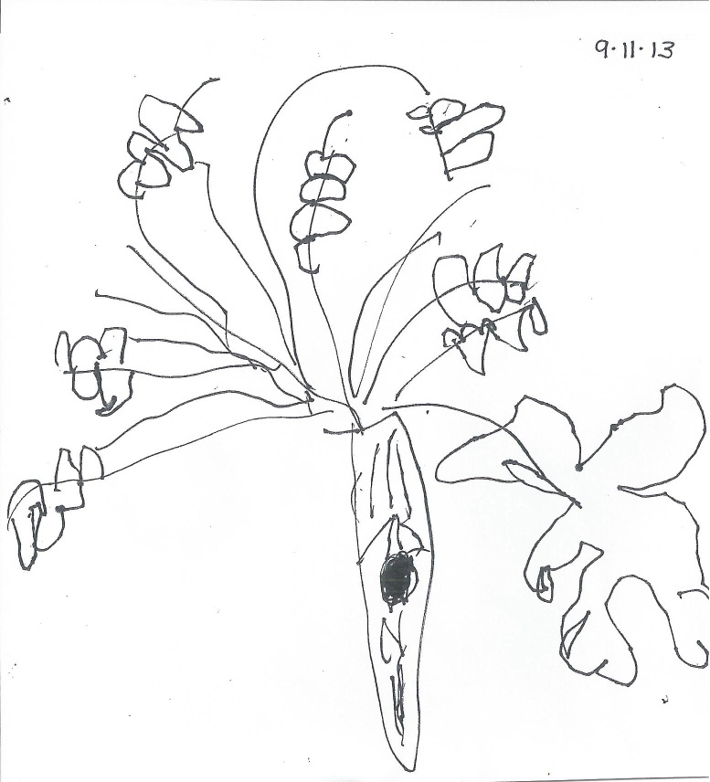 777x856 Sketching Mr. Red Oak Tree Early Childhood Lab School