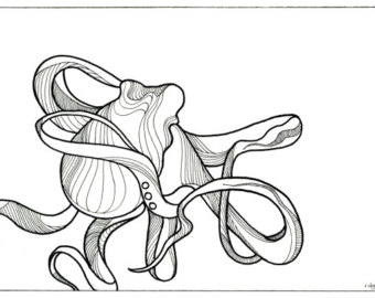 340x270 Octopus Drawing Cephalopods And Script Fine Art Giclee