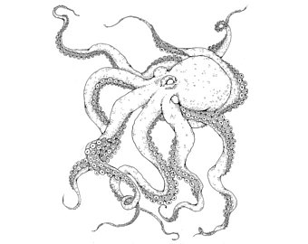 340x270 Octopus Tattoo Etsy