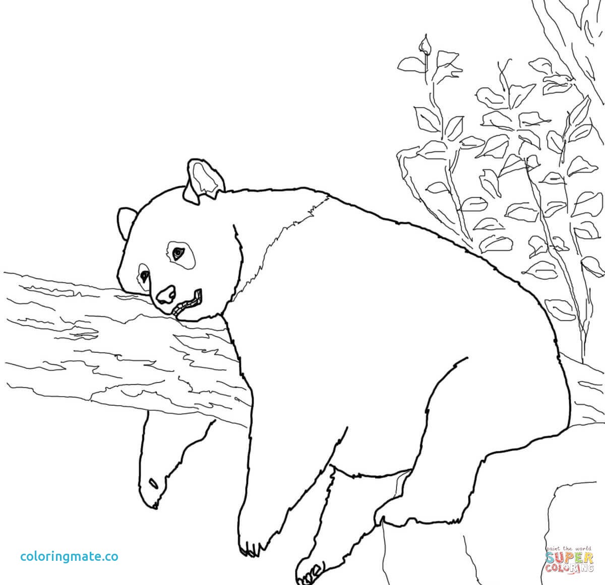 1200x1160 Red Panda Coloring Page Luxury Giant Panda Coloring Page Free