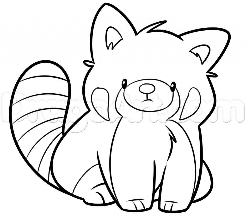 1024x931 Red Panda Drawing