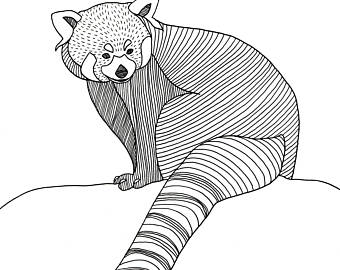 340x270 Red Panda Drawing Etsy