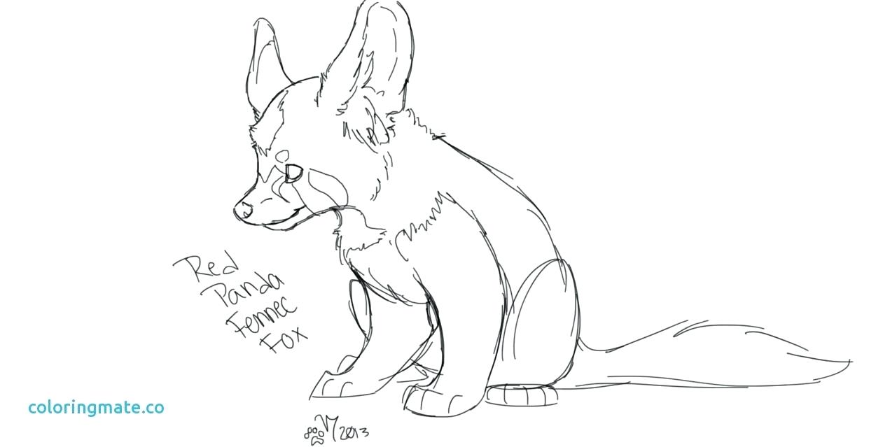 1251x639 Coloring Red Panda Coloring Pages Page Fresh Cute Fox