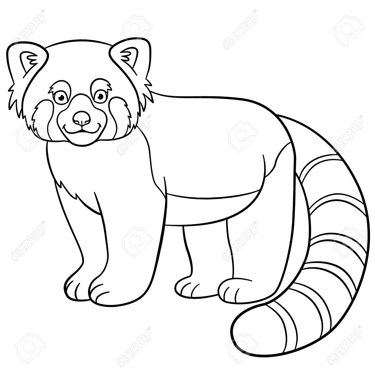 1300x1300 Coloring Pages. Little Cute Red Panda Stands And Smiles. Royalty