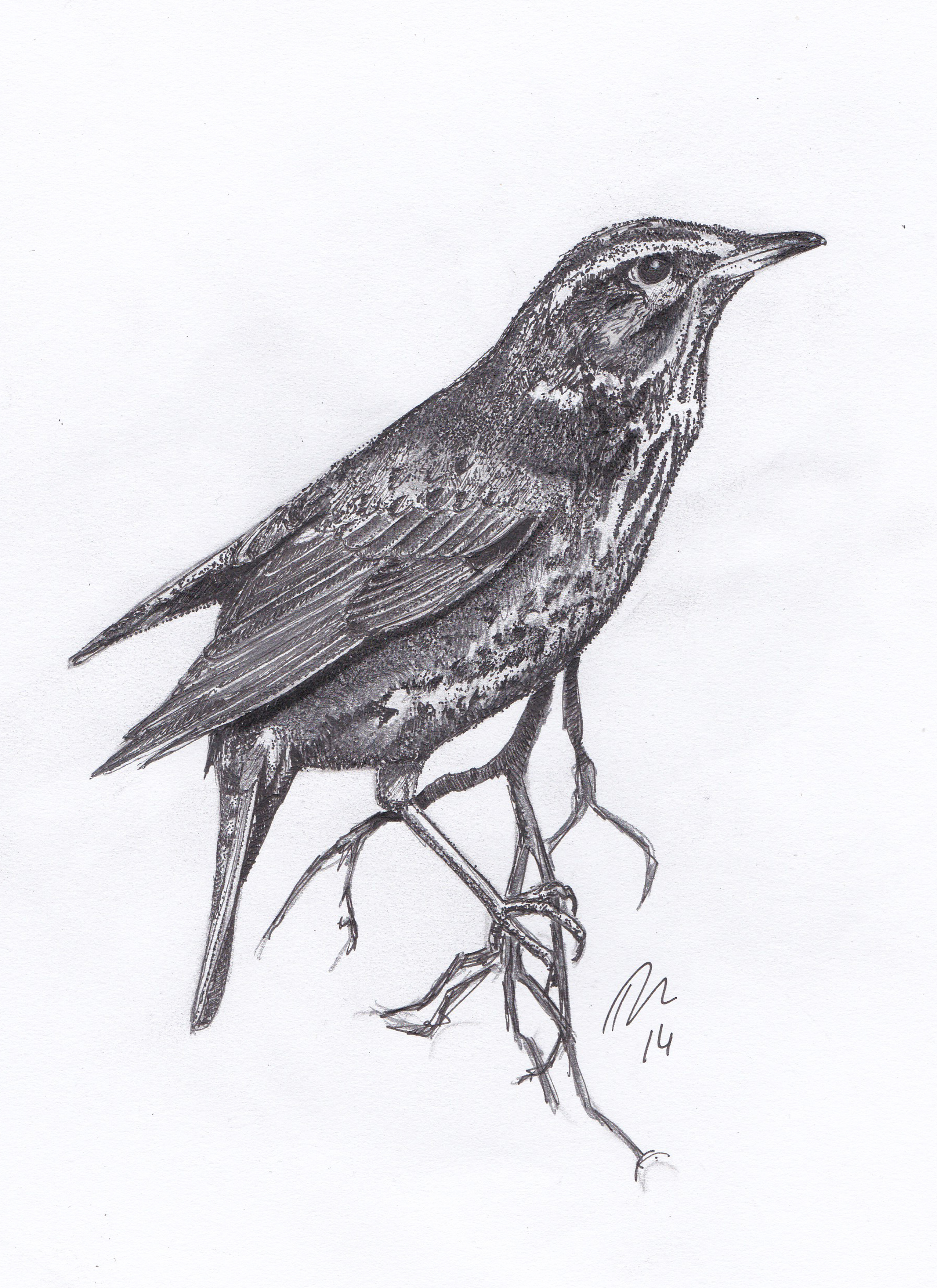 2552x3508 Let The Drawing Commence Dan Bradbury Art