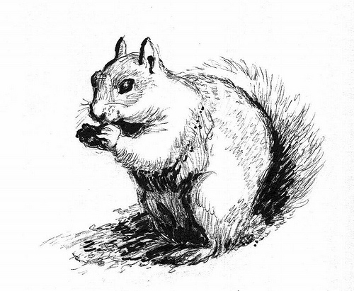 500x411 Ball Pen Drawing Ball Pen Illustrators