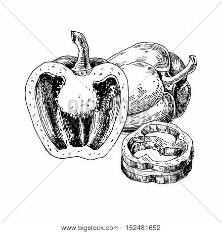 449x470 Pepper Hand Drawn Vector Vector Amp Photo Bigstock