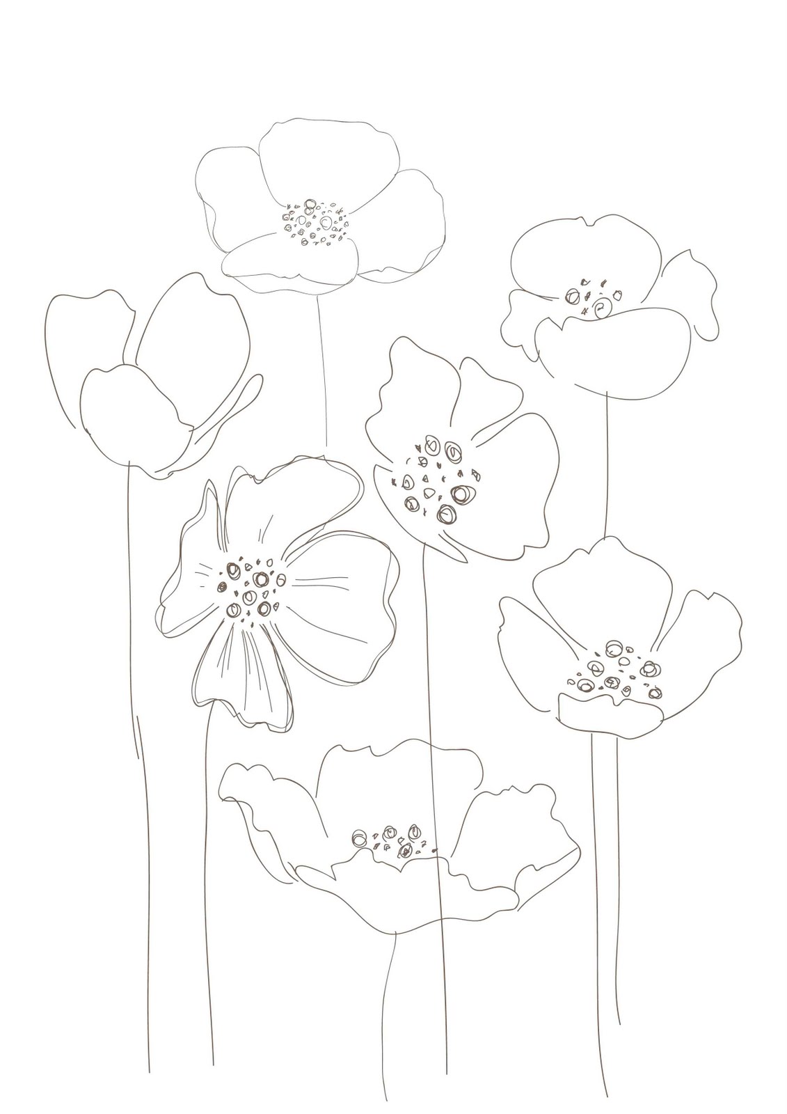 1131x1600 Poppies Flowers Poppies Floral Drawing, Drawings