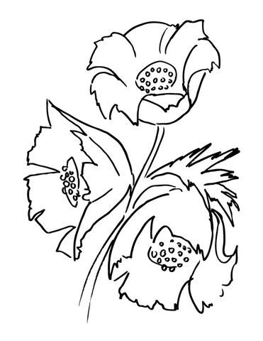 371x480 Poppy Flower Bouquet Coloring Page Prints To Color