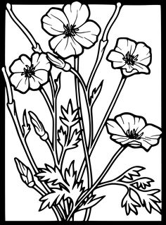 236x319 Poppy Flower Drawing Poppy Clipart Etc Susie's 1944 Board