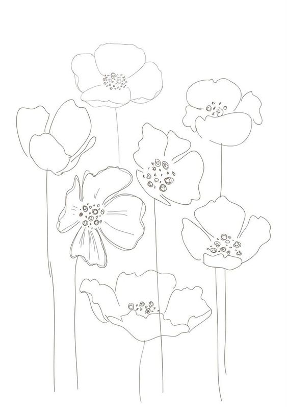 563x797 Draw Poppies Poppy Drawing Dessin Poppy Drawing