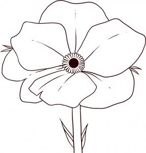 288x302 How To Draw Poppy How To Draw Doodles, Flowers