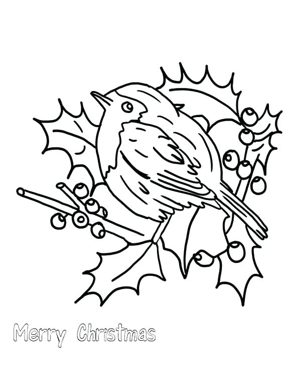 600x776 Robin Bird Coloring Pages Top Rated Robin Coloring Pages Pictures