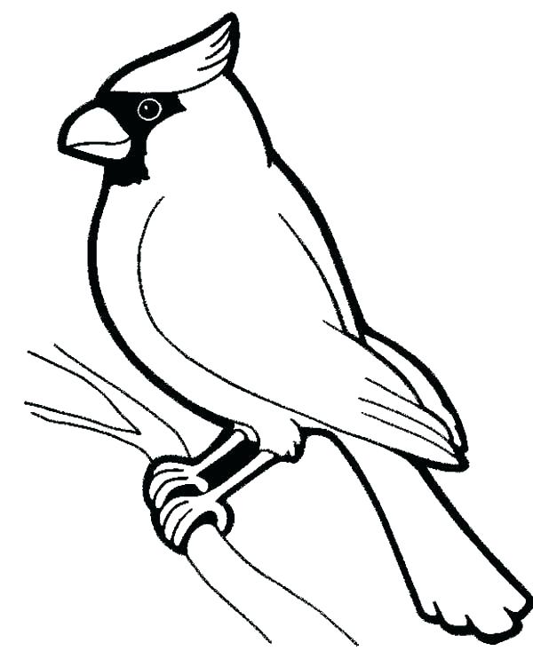 600x751 Coloring Pages Bird Bird Picture Bird To Color In Coloring Page
